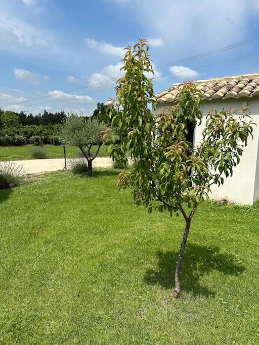 Villa Des Jacinthes Tarascon Exterior photo